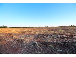 Garfield, County, Oklahoma farmland - LAND AUCTION - 160+/- ACRES OFFERED IN 2 TRACTS IN GARFIELD COUNTY, OKLAHOMA